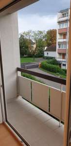 1 room in newly renovated two-storey 3-bedroom apartment, near Steinertor for rent