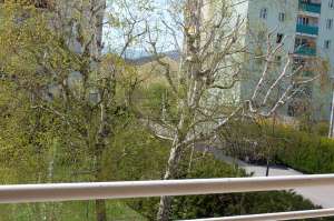 Blick in den Garten