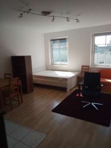 Bright single apartment opposite IMC-Piaristengasse