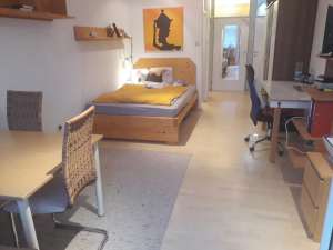 Fully equipped student apartment (1 person) in the old town centre Krems